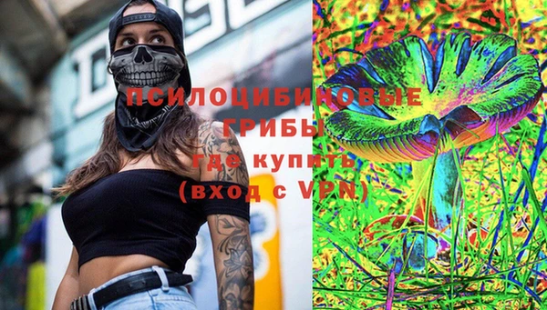 соль ск Надым
