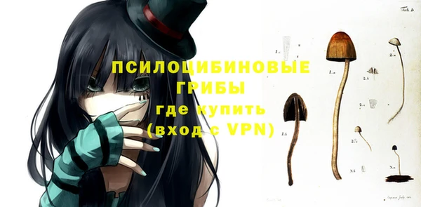 соль ск Надым