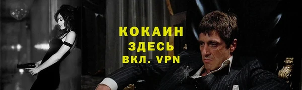 соль ск Надым