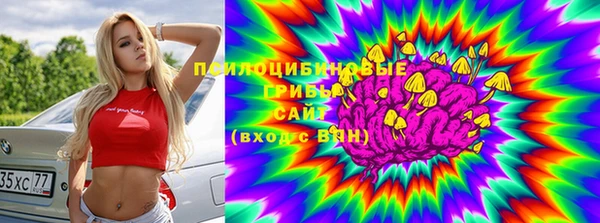 apvp Навашино