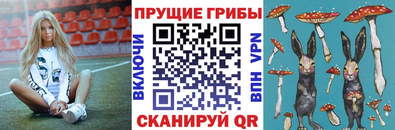 Псилоцибиновые грибы Psilocybe  МЕГА ONION  Чита  где найти наркотики 