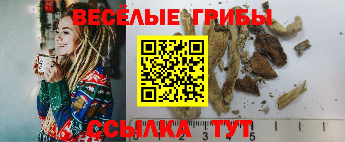 Псилоцибиновые грибы ЛСД  Вход с VPN  Чита 