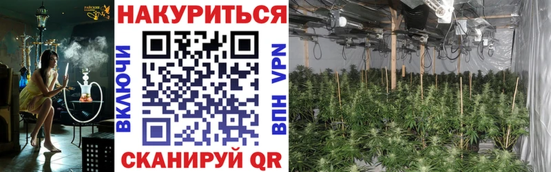 Канабис ГИДРОПОН  Чита 